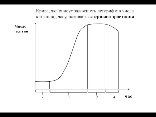 Крива, яка описує залежність логарифмів числа клітин від часу, називається кривою зростання.