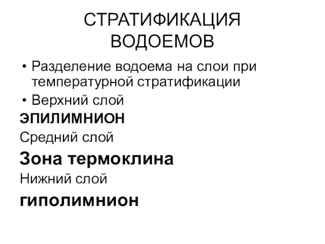 СТРАТИФИКАЦИЯ ВОДОЕМОВ Разделение водоема на слои при температурной стратификации Верхний слой