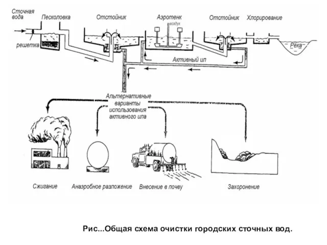 Рис...Общая схема очистки городских сточных вод.