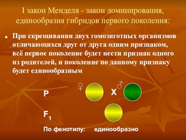 I закон Менделя - закон доминирования, единообразия гибридов первого поколения: При