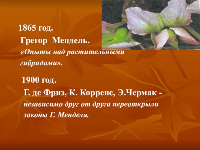 1865 год. Грегор Мендель. «Опыты над растительными гибридами». 1900 год. Г.