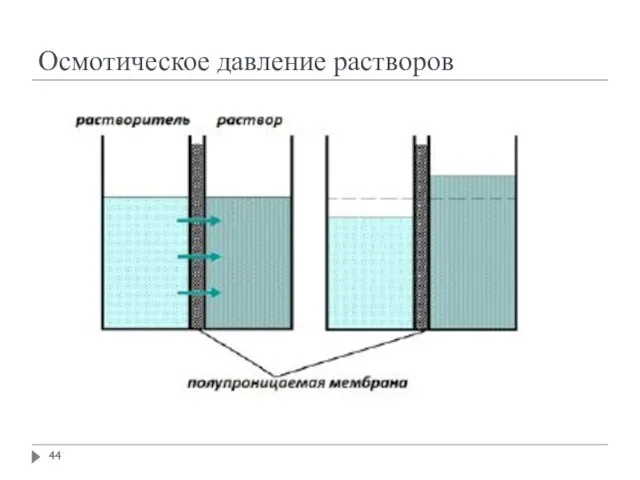 Осмотическое давление растворов