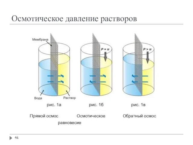 Прямой осмос Осмотическое Обратный осмос равновесие Осмотическое давление растворов