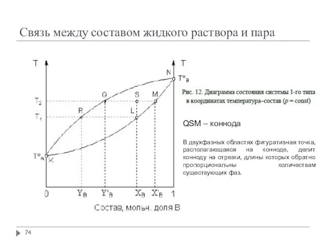 Связь между составом жидкого раствора и пара QSM – коннода В