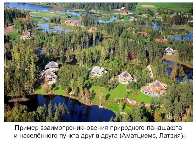 Пример взаимопроникновения природного ландшафта и населённого пункта друг в друга (Аматциемс, Латвия)
