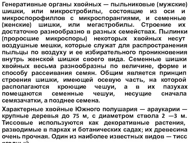 Генеративные органы хвойных — пыльниковые (мужские) шишки, или микростробилы, состоящие из