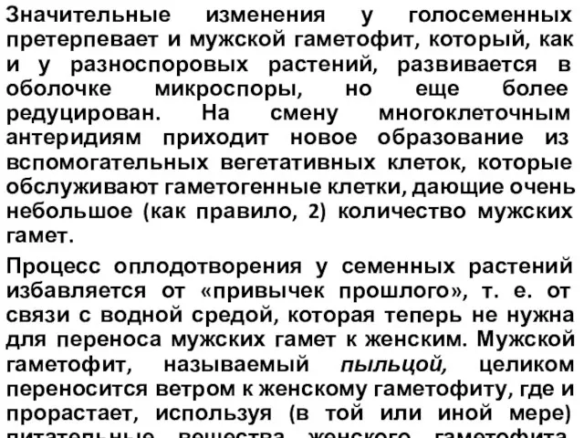 Значительные изменения у голосеменных претерпевает и мужской гаметофит, который, как и