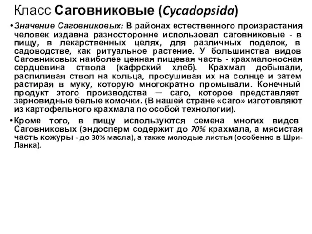 Класс Саговниковые (Cycadopsida) Значение Саговниковых: В районах естественного произрастания человек издавна