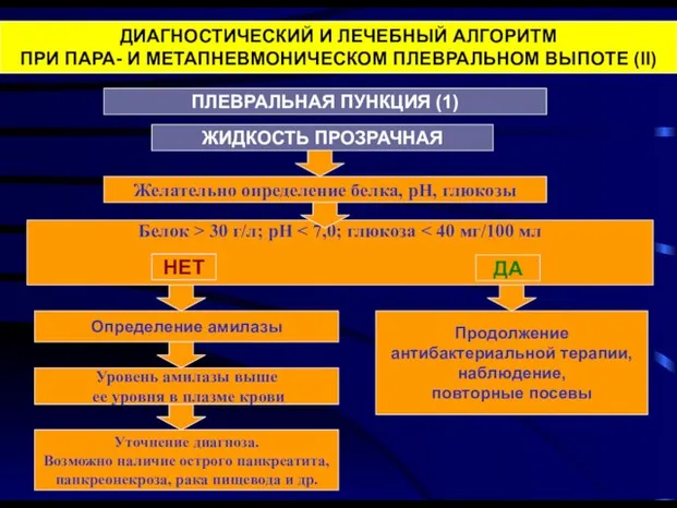 ДИАГНОСТИЧЕСКИЙ И ЛЕЧЕБНЫЙ АЛГОРИТМ ПРИ ПАРА- И МЕТАПНЕВМОНИЧЕСКОМ ПЛЕВРАЛЬНОМ ВЫПОТЕ (II)