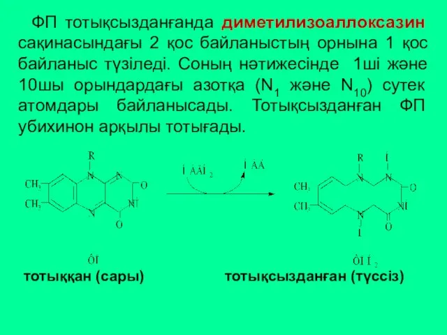 ФП тотықсызданғанда диметилизоаллоксазин сақинасындағы 2 қос байланыстың орнына 1 қос байланыс