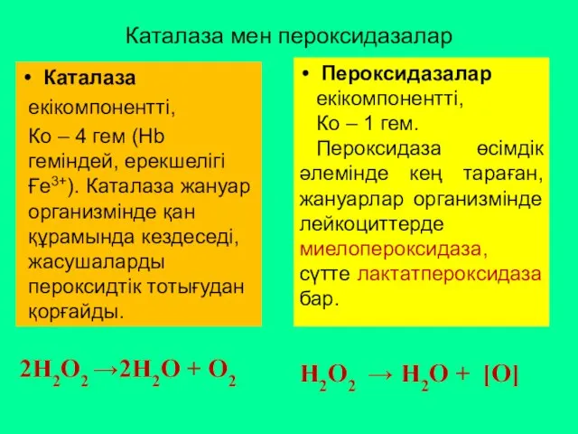 Каталаза мен пероксидазалар 2Н2О2 →2Н2О + О2 Каталаза екікомпонентті, Ко –