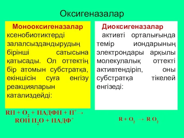 Оксигеназалар RH + O2 + HAДФН + Н+→ ROH Н2О +