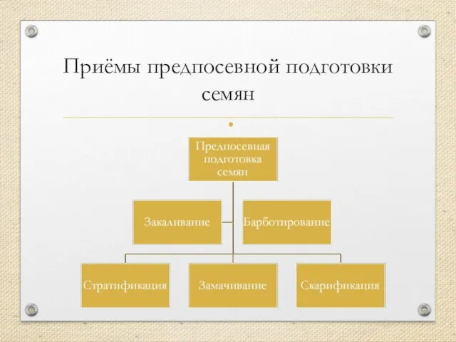 Приёмы предпосевной подготовки семян