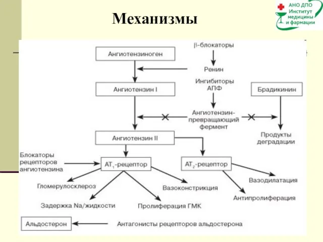 Механизмы