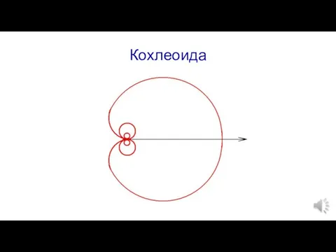 Кохлеоида