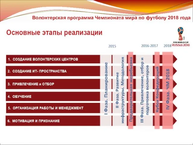 Волонтерская программа Чемпионата мира по футболу 2018 года