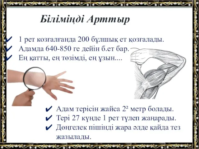 Біліміңді Арттыр Адам терісін жайса 2² метр болады. Тері 27 күнде