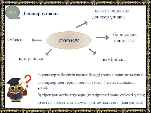 тығыз талшықты дәнекер ұлпасы борпылдақ талшықты сүйекті қан ұлпасы ТҮРЛЕРІ а)