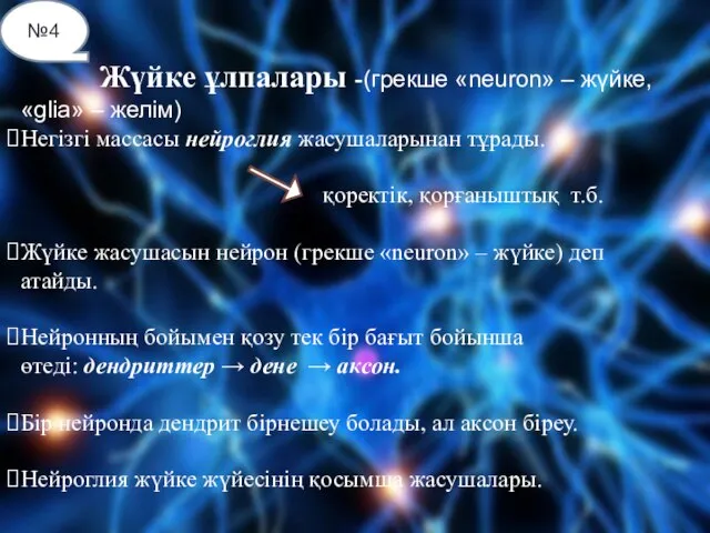 №4 Жүйке ұлпалары -(грекше «neuron» – жүйке, «glіa» – желім) Негізгі