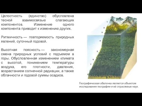 Целостность (единство) обусловлена тесной взаимосвязью слагающих компонентов. Изменение одного компонента приводит