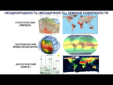 НЕОДНОРОДНОСТЬ (МОЗАИЧНОСТЬ) ЗЕМНОЙ ПОВЕРХНОСТИ