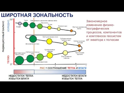 ШИРОТНАЯ ЗОНАЛЬНОСТЬ Закономерное изменение физико-географических процессов, компонентов и комплексов геосистем от экватора к полюсам