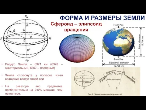 ФОРМА И РАЗМЕРЫ ЗЕМЛИ Радиус Земли – 6371 км (6378 –