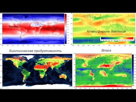 Тепло Влага Биологическая продуктивность Атмосферное давление