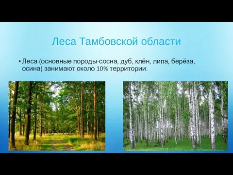 Леса Тамбовской области Леса (основные породы-сосна, дуб, клён, липа, берёза, осина) занимают около 10% территории.