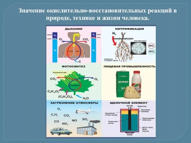 Значение окислительно-восстановительных реакций в природе, технике и жизни человека.