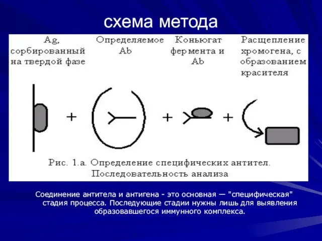 схема метода