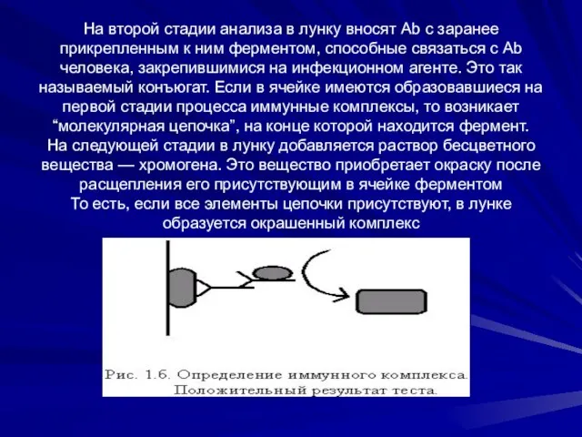 На второй стадии анализа в лунку вносят Ab с заранее прикрепленным