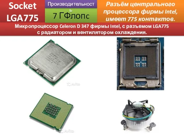 Socket LGA775 Разъём центрального процессора фирмы Intel, имеет 775 контактов. Микропроцессор