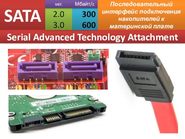 SATA Последовательный интерфейс подключения накопителей к материнской плате Serial Advanced Technology