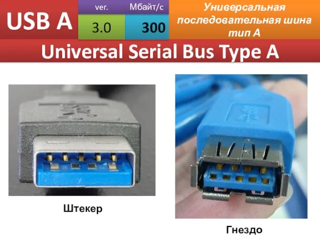 USB A Универсальная последовательная шина тип А Universal Serial Bus Type