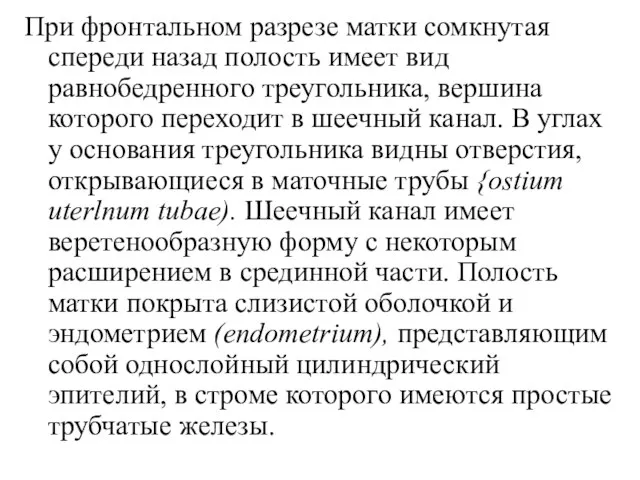 При фронтальном разрезе матки сомкнутая спереди назад полость имеет вид равнобедренного