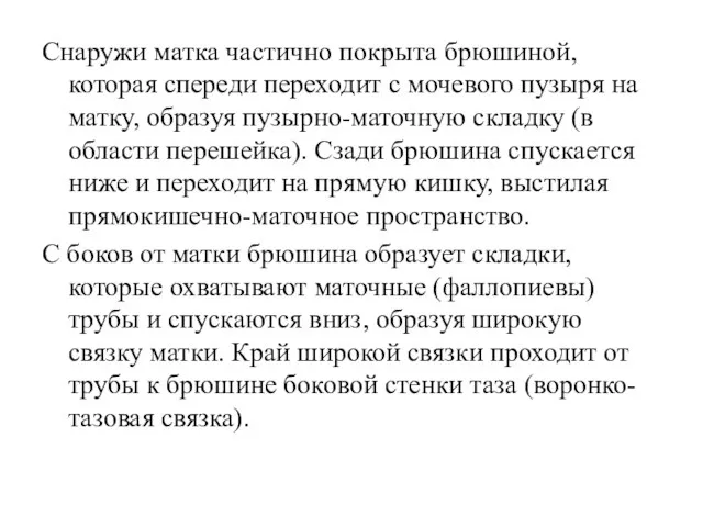 Снаружи матка частично покрыта брюшиной, которая спереди переходит с мочевого пузыря