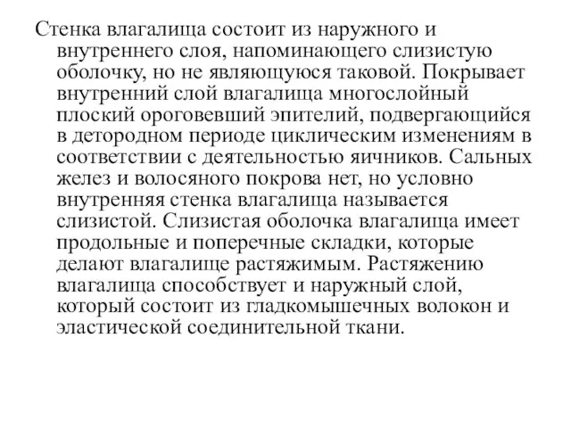 Стенка влагалища состоит из наружного и внутреннего слоя, напоминающего слизистую оболочку,