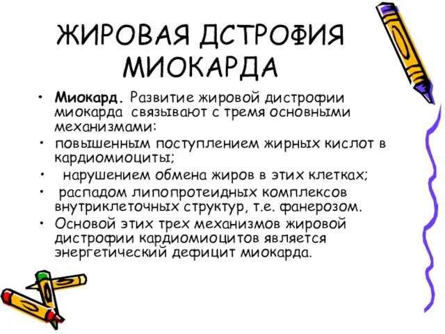 ЖИРОВАЯ ДСТРОФИЯ МИОКАРДА Миокард. Развитие жировой дистрофии миокарда связывают с тремя