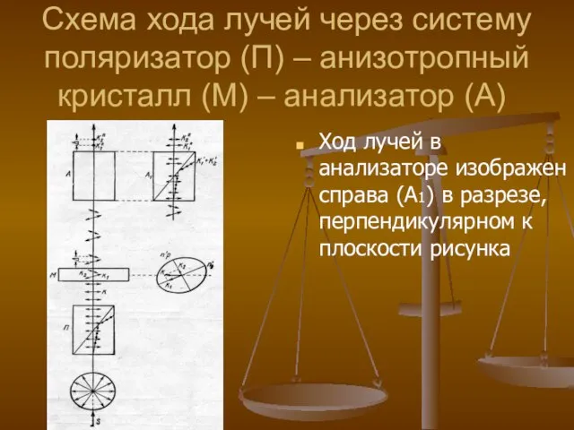 Схема хода лучей через систему поляризатор (П) – анизотропный кристалл (М)