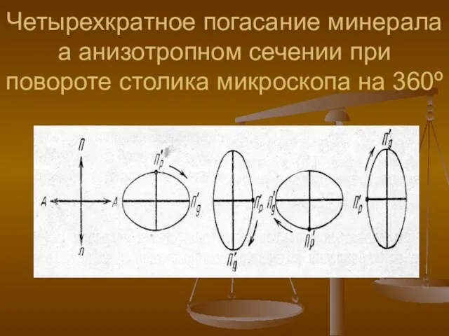 Четырехкратное погасание минерала а анизотропном сечении при повороте столика микроскопа на 360º