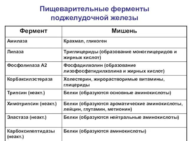 Пищеварительные ферменты поджелудочной железы