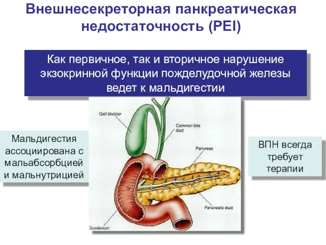 Как первичное, так и вторичное нарушение экзокринной функции пожделудочной железы ведет