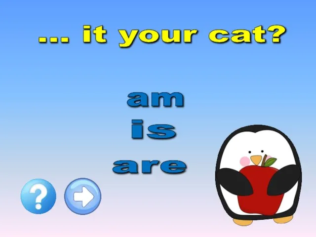 … it your cat? are am is