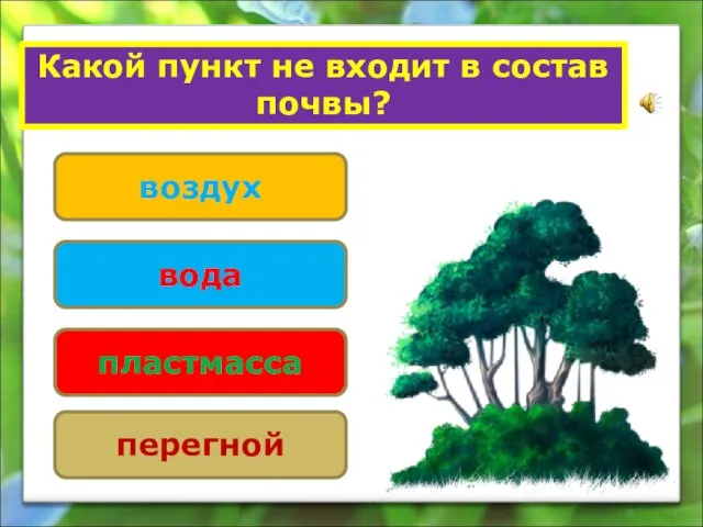 Какой пункт не входит в состав почвы? воздух вода пластмасса перегной