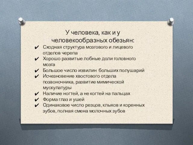 У человека, как и у человекообразных обезьян:​ Сходная структура мозгового и