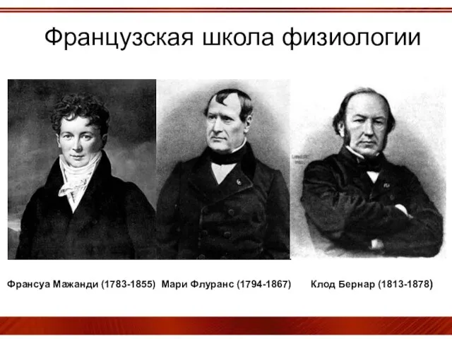 Французская школа физиологии Франсуа Мажанди (1783-1855) Мари Флуранс (1794-1867) Клод Бернар (1813-1878)