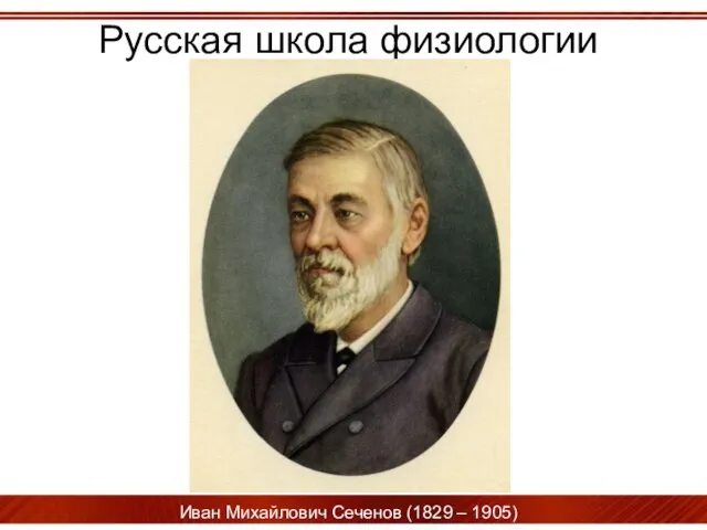 Русская школа физиологии Иван Михайлович Сеченов (1829 – 1905)