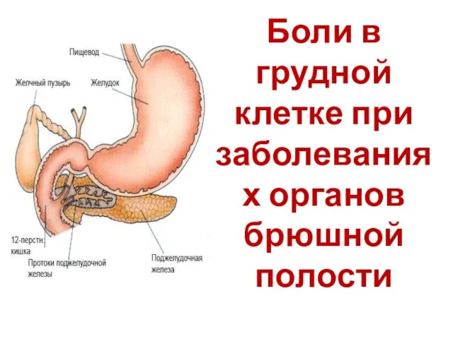 Боли в грудной клетке при заболеваниях органов брюшной полости