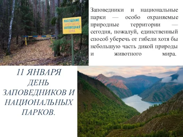 11 ЯНВАРЯ ДЕНЬ ЗАПОВЕДНИКОВ И НАЦИОНАЛЬНЫХ ПАРКОВ. Заповедники и национальные парки